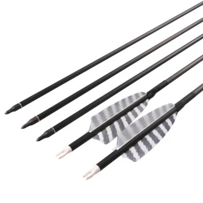 12pc 30" SP400 Carbon Arrows Feathers Tips Compound Recurve Bow Hunting Target - Image 1 of 4