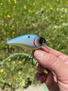 Crankbait pintado personalizado 2.5 Squarebill silencioso cambio de color sábalo tropical - Imagen 1 de 5