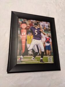 NFL Football Joe Flacco Baltimore Ravens Photo Picture Print 