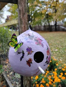 Bird House - Picture 1 of 4