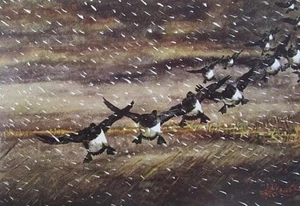 Les Kouba Rough Weather Bills Duck Print 12 x 8 - Picture 1 of 1