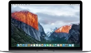 2016 Apple MacBook 12" (Intel Core M5 1.2Ghz 8GB RAM 512GB SSD) Grigio, Buono - Foto 1 di 3