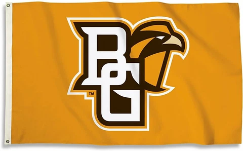 Bowling Green Falcons 3 x 5 Foot Flag with Grommets University of Cover