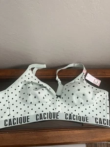 Cacique BH - 50C - Bild 1 von 4