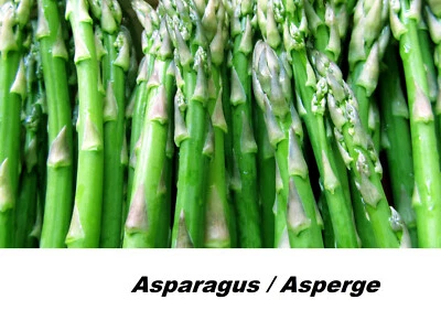 Seed Asparagus Guelph Millenium Great Spear Yield Hative Perennial Seeds CombS/H - Image 1 of 3
