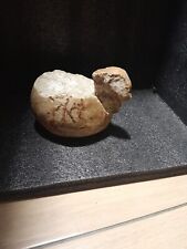Stone Artifact Pre-Celtic Bird