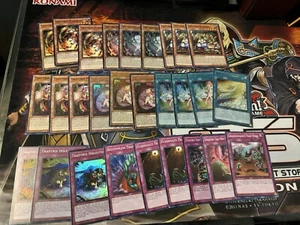 Traptrix Beginner Deck Core - Picture 1 of 2