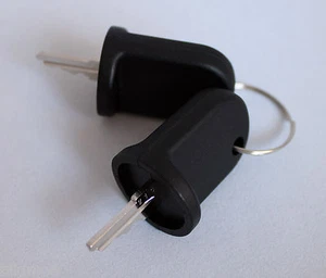 EZGO RXV Golf Cart Common Key Set of 2 for GAS Or 48V Electric Golf Carts - Picture 1 of 6