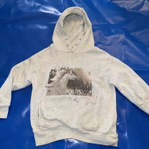 Next horse themed hooded top, grey mix, aged 9 years Sparkle And Shine - Picture 1 of 10