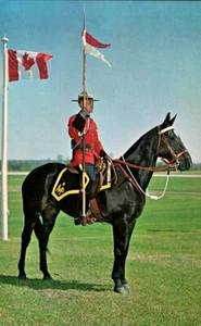 AK Chrome Royal Canadian Mounted Police Kanada P1847 - Bild 1 von 2