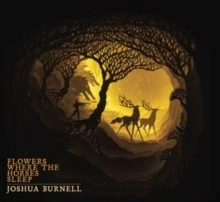BURNELL JOSHUA - FLOWERS WHERE THE HORSES SLEEP - New CD - Y4z - Изображение 1 из 1