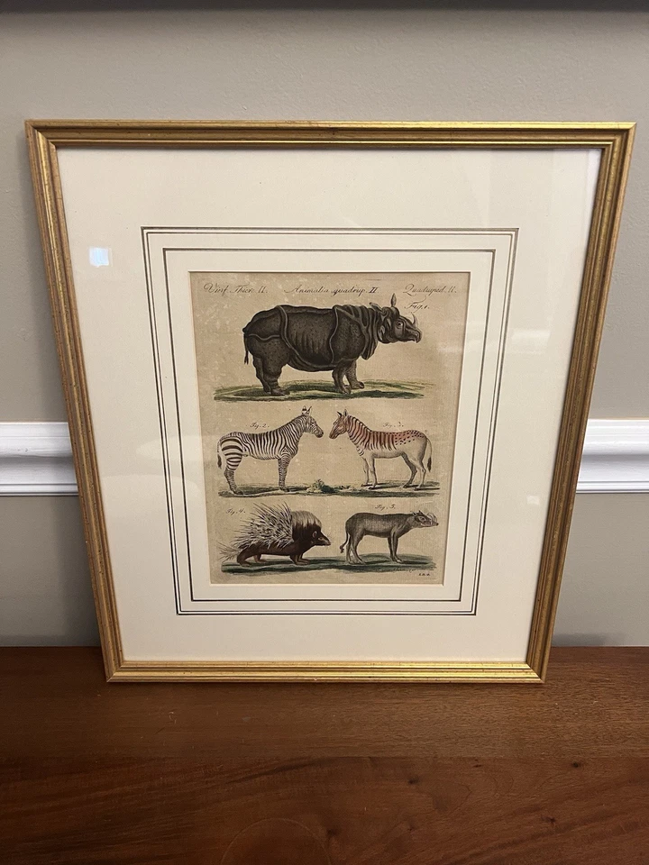 带框古董动物印花 Friedrich Justin Bertuch 著 — 第 1/3 张图片