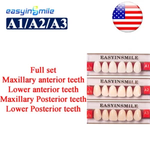 Acrylic Resin Teeth Full Set/Anterior/Posterior Dentistry DIY Denture A1/A2/A3 - Picture 1 of 17