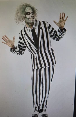Disfraz de Beetlejuice Deluxe para hombre talla estándar con bolsillos añadidos Foto 1 de 4