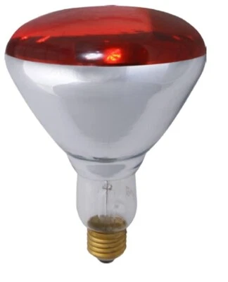 Lampada Infrarossi E27 240V 150W ideale per Suini e Pulcini - Immagine 1 di 2