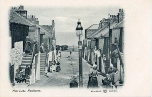 POSTAL IMPRESA DE NEW LANE, NEWHAVEN, EDIMBURGO, MIDLOTHIAN, ESCOCIA - Imagen 1 de 2