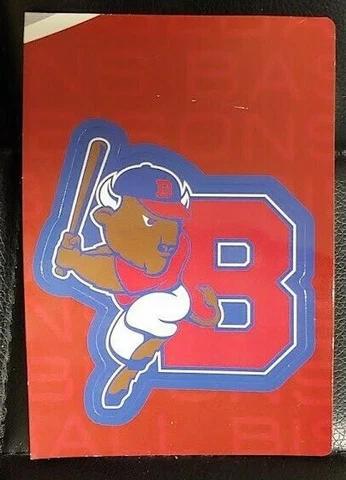 New Buffalo Bisons AAA Minor League Baseball WNY Red Vintage Magnet Cover