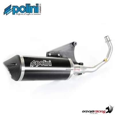 Sistema de escape completo de acero Polini para Piaggio FLY 125 3V es decir 2012> Foto 1 de 4