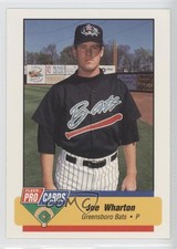 1994 Fleer ProCards Minor League Joe Wharton #476
