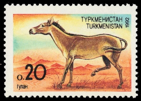TURKMENISTAN 29 - Central Asian Wildlife "Wild Horse" (pb63678) Cover