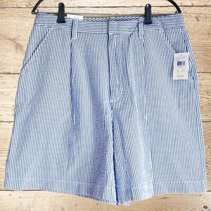 Neu mit Etikett Brixton Victory blaue Hose hoher Bund Shorts 30 W Seersucker gestreift  - Bild 1 von 9