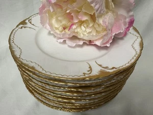 (10) Th. Haviland France 'Schleiger 133' 8.875 Inch LUNCHEON PLATES - Mint! - Picture 1 of 7