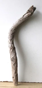 Madera flotante Driftwood 1 rama decoración terrario Navidad 44 cm - Imagen 1 de 13