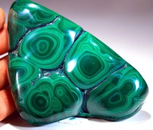 4" 10.1 oz Top Quality Polished Bull's Eye Malachite , Congo! M657 - Picture 1 of 4