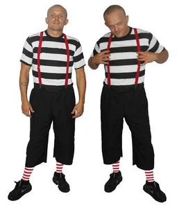 Tweedle Dee or Tweedle Dum Alice In Wonderland Fancy Dress Single Costume - Picture 1 of 1