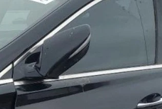 Espejo retrovisor puerta conductor Hyundai Azera LH 2012-2013 vista lateral OEM Foto 1 de 4