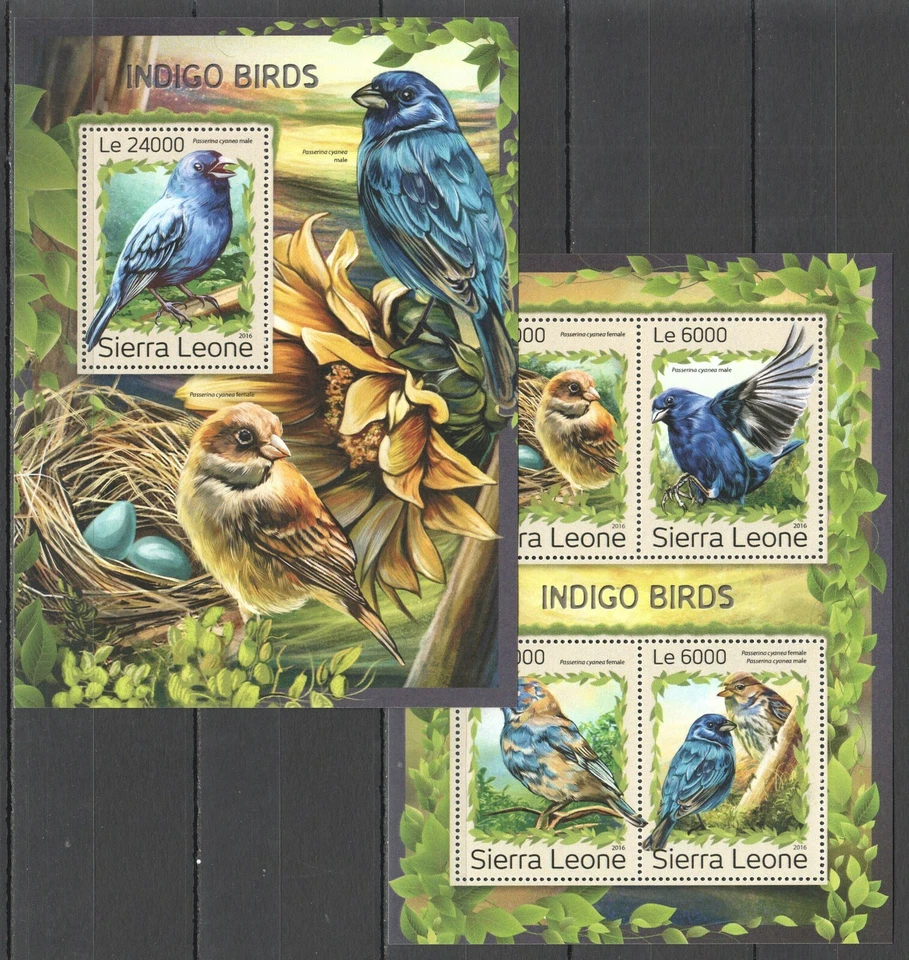 ST320 2016 SIERRA LEONE BIRDS FAUNA INDIGO BIRDS KB+BL MNH STAMPS - Image 1 of 1