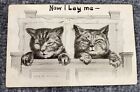 Vintage Postcard Kittens Tucked In Bed Cat Comic I Phillips Now I Lay Me 1911