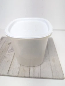 Rubbermaid 3 Qt Servin Saver #6 Bidone Quadrato Trasparente Portaoggetti BIANCO Coperchio - Foto 1 di 13