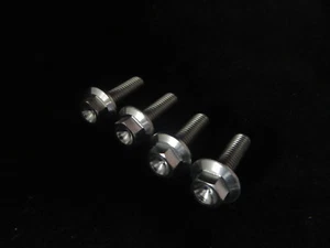 Kawasaki KX250 1989 Doc Wob Titan vorne Kotflügel Befestigungsschrauben TI2014 - Bild 1 von 1