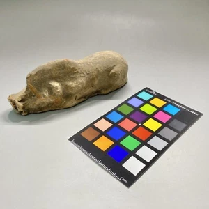 B02  Ancient  CHINESE  Tang Dynasty POTTERY Pig 唐代陶猪 🐗 - Picture 1 of 8