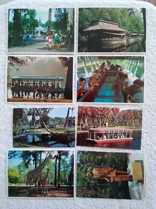 Vintage Silver Springs State Park Florida Postcard Lot Animals Statue ++ - Picture 1 of 2
