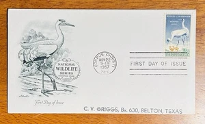 UNITED STATES WILDLIFE CONSERVATION WHOOPING CRANES 1957 SC#1098 FDC NSA - Picture 1 of 1