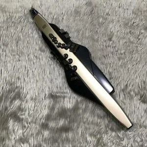 Roland Aerophone AE-20 SC Digital Wind Instrument Synthesizer gebraucht aus... - Bild 1 von 24
