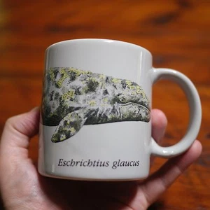 California Academy Sciences GRAY WHALE Eschrichtius Glaucus Coffee Mug Tea Cup - Picture 1 of 4