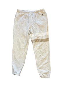 Todd Snyder x Champion Sweatpants Striped in Cordovan Size Large - Picture 1 of 9