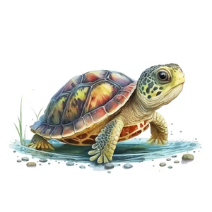 Autoaufkleber Sticker Baby Schildkröte Aufkleber 9X9 cm - Picture 1 of 10