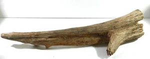 DRIFTWOOD Terrarium Aquascapes Home Decor DRIFT WOOD LONG 19” L - Picture 1 of 7