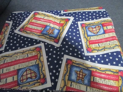 I PLEDGE ALLEGIANCE - 1/2 YARD - DIANNA MARCUM FOR MARCUS BROS. - Image 1 of 2