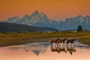 Early Morningby Robert Dawson Lienzo Giclee Vaquero en Tetons Cuerda de Caballos - Imagen 1 de 1