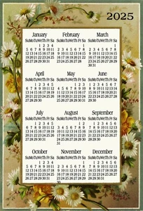 DAISY DAISIES VINTAGE FLOWER YEARLY OFFICE KITCHEN FRIDGE 2025 CALENDAR MAGNET - Picture 1 of 1