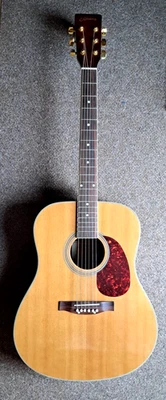 Akustikgitarre C. Giant - unbenutzt/neuwertig & klangstark - Bild 1 von 4