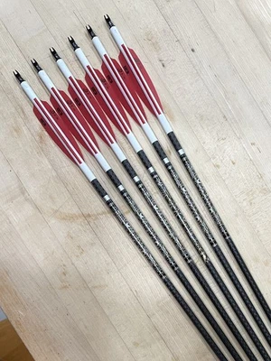 VICTORY Tiro con Arco V-TAC 23 Elite V1 270 Columna 1/2 Docena Longitud Completa (31”) - 6 Usado Foto 1 de 4