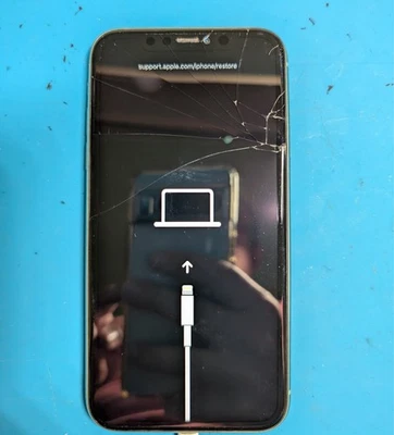 Apple iPhone 11 128 GB Verde Green - Immagine 1 di 4