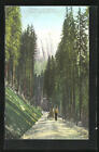 Ansichtskarte Karersee, Strada delle Dolomiti presso Carezza al Lago