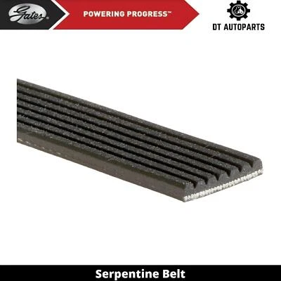 Puertas de cinturón serpentina EV-GAS (FHEV) Saturn Vue 2007-2009 2,4 L L4 híbrido completo Foto 1 de 4